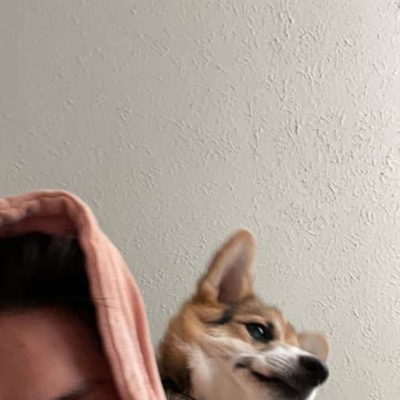 Meet your Posher, James - Picture 1 of 1